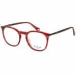 Unisex Stylish Full Acetate Round Glasses | Paul Frank Eyeglasses | PFF8183