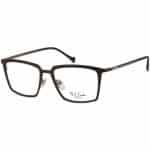 Men's Modern Stylish Glasses | Paul Frank Eyeglasses | PFF8132