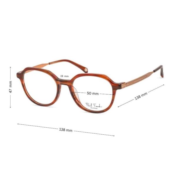 Stylish Modern Women's Eyeglasses | Paul Frank Eyeglasses | PFF8149 - Image 2