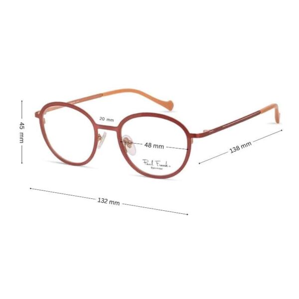 Modern Stylish Round Glasses  | Paul Frank Round Eyeglasses | PFF8134 - Image 2