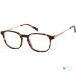 Unisex Square Acetate Glasses (With Free Lenses) | Affordable Glasses