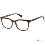 Women's Cat-Eye Acetate Glasses (With Free Lenses) | Affordable Glasses Brown Havana