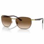 Ray-Ban Sunglasses RB3702 |  Brown ; Gold with Brown Gradient Lens