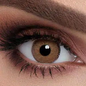 Brown Gray