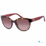 Guess Women's Round Sunglass GU7824 | Brown-Maroon Frame, Brown Gradient Lens