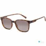 Iarra Unisex Square Sunglasses - Shiny Brown Havana Frame with Gradient Brown Polarized Lenses