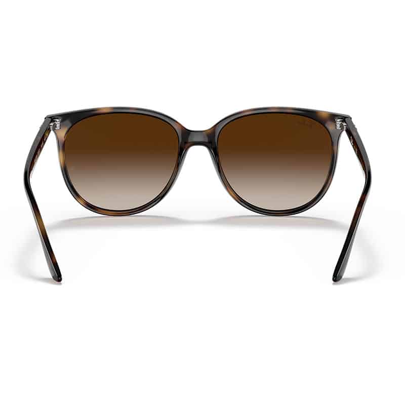 rayban rb4378 brown