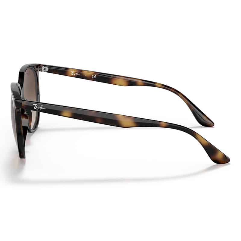 rayban rb4378 brown