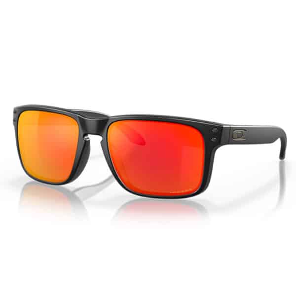 Oakley Holbrook