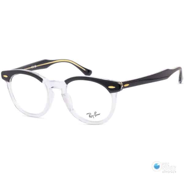 Rayban Frame