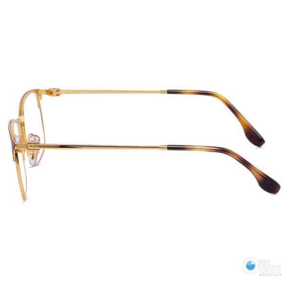 Rayban Frame