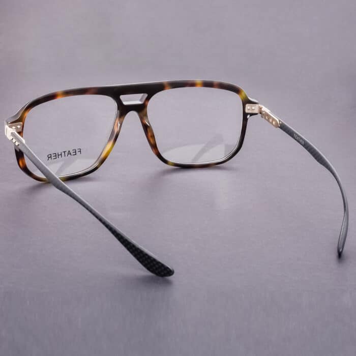 men's large stylish eyeglasses with double-bridge