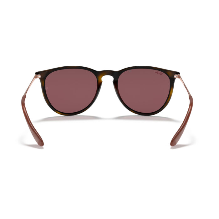 Ray-Ban Sunglasses Erika