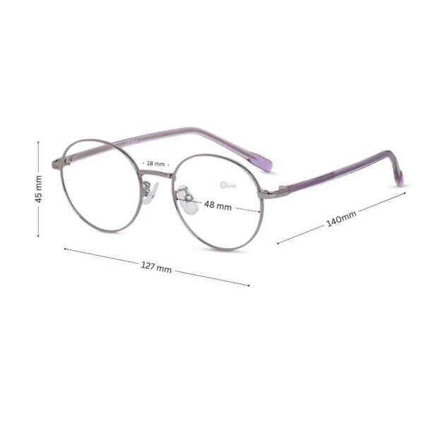 Full-Round Metal Glasses – Gunmetal Frame with Purple Acetate Temples - Image 2
