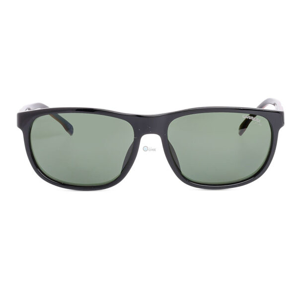 Carrera Sunglasses
