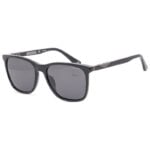 Police Sunglasses 2025