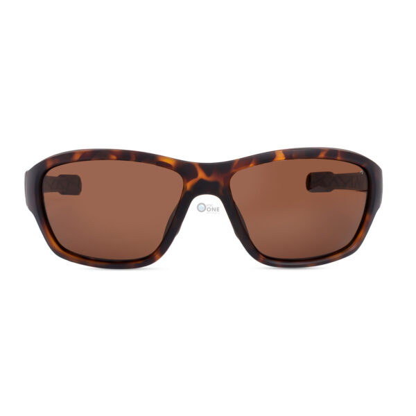 Despada-Sunglasses-latest-collection