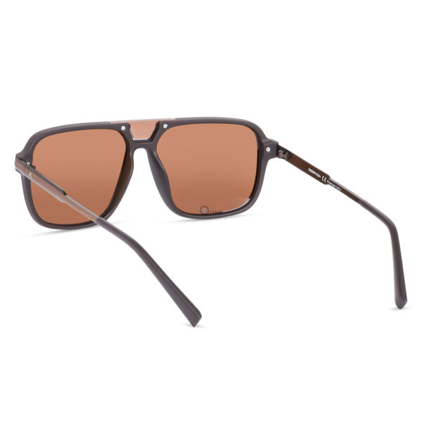 Despada-Sunglasses-latest-collection