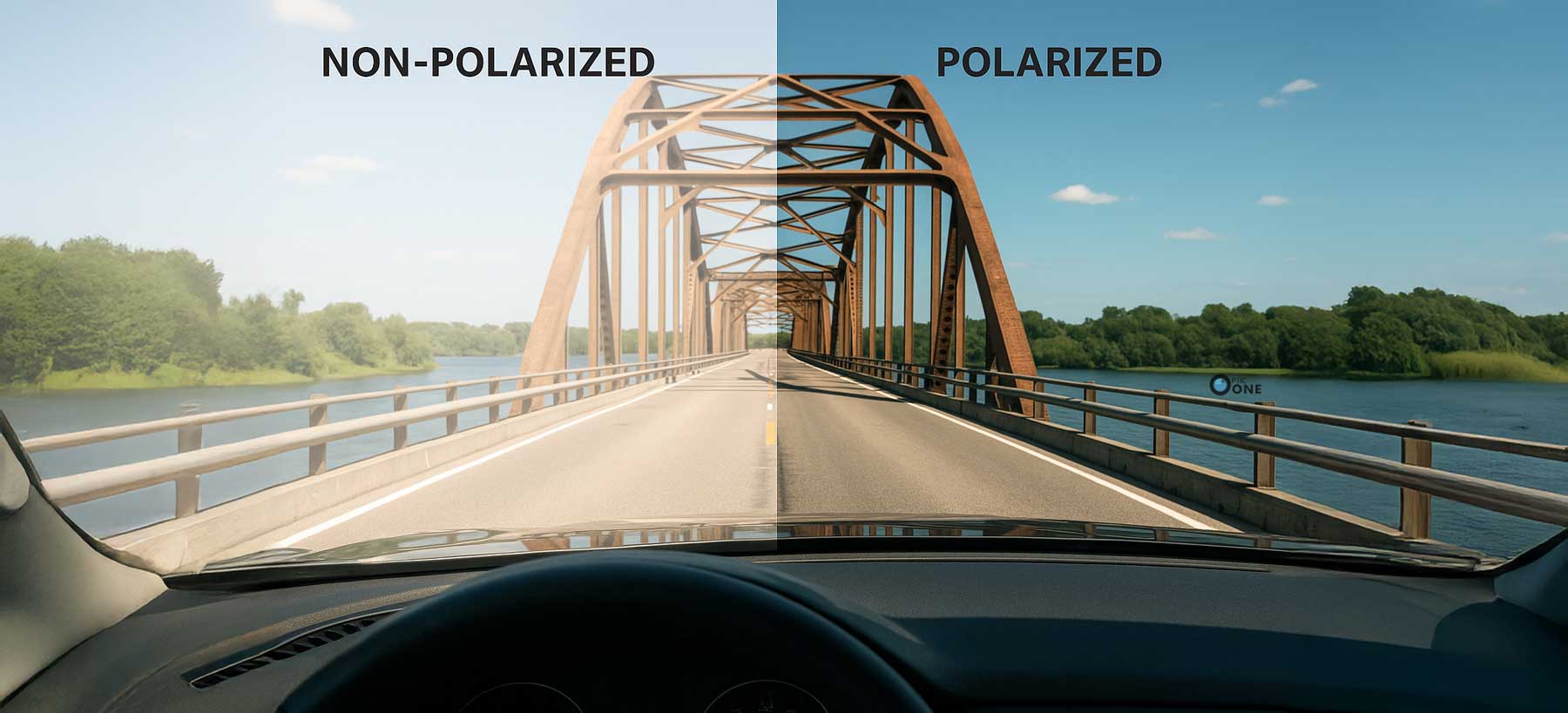 Demonstration of polarized lens effect
