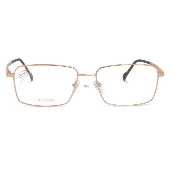 Stepper Frame