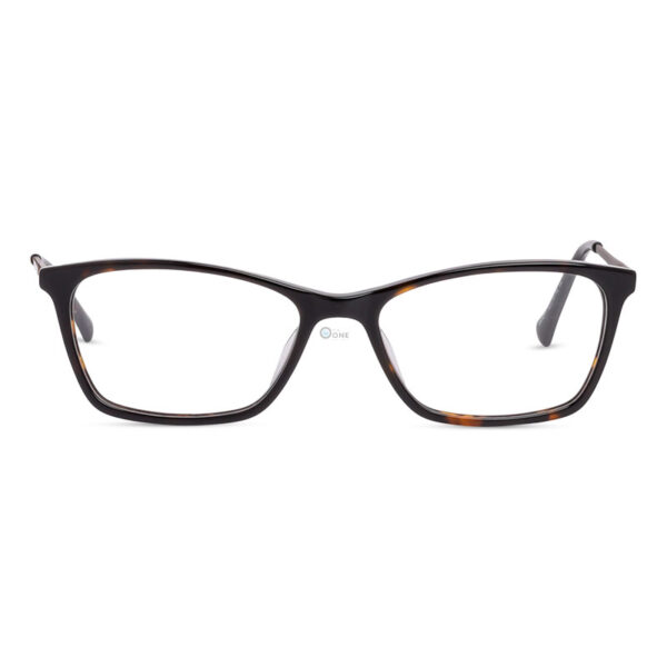 Paul Hueman Frame