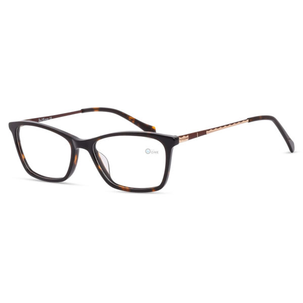 Paul Hueman Frame