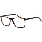 Tommy Frame