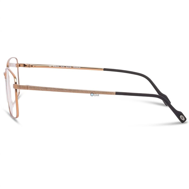 Stepper Frame