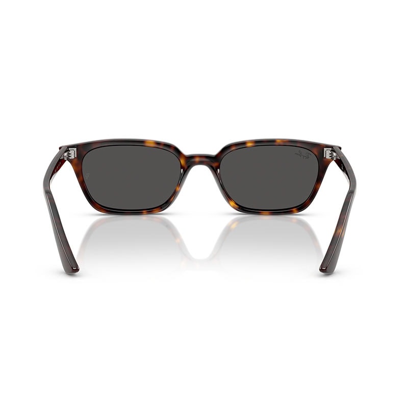 Rayban Sunglasses