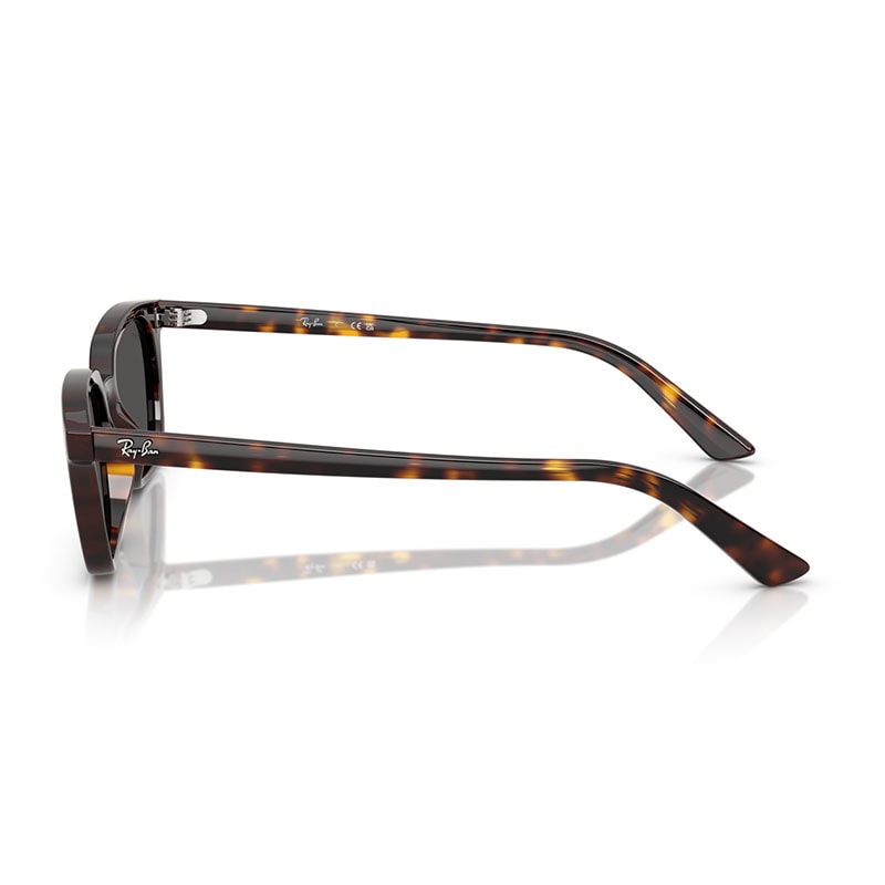 Rayban Sunglasses