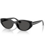 Rayban Sunglasses