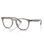 Rayban Frame