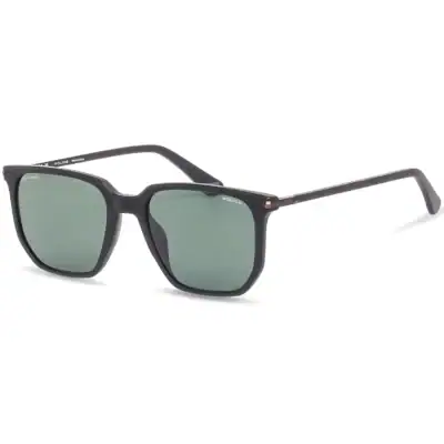 Police Sunglasses