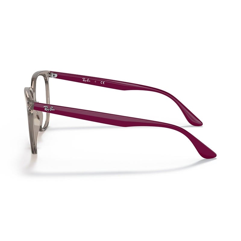 Rayban Frame